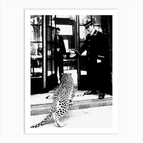 Panther In Restaurant 1950 Black And White Art Print