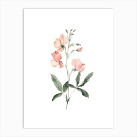 Sweet Peas Art Print