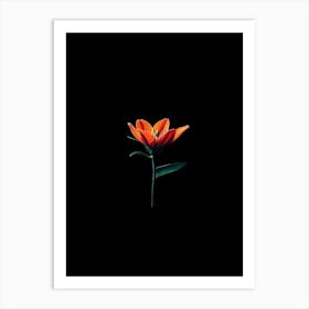 Tulip 4 Art Print