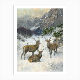 A Deer Herd in Winter by Josef Schmitzberger (1851–1930) Stag, Winter Print Art Print