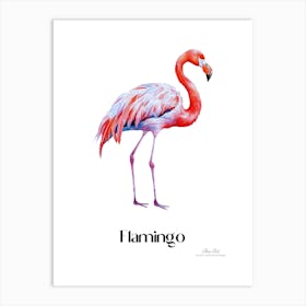 Flamingo. Long, thin legs. Pink or bright red color. Black feathers on the tips of its wings.9 Art Print