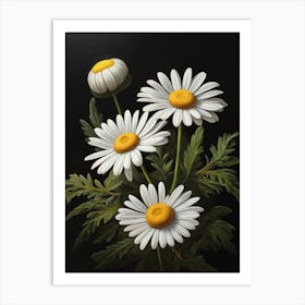 Denmark National Flower The Marguerite Daisy 1 Art Print