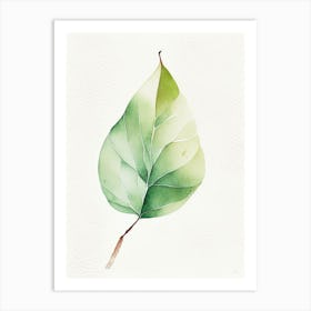 Pear Leaf Minimalist Watercolour 2 Art Print