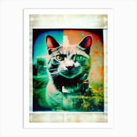 Cat Portrait Polaroid Art Print