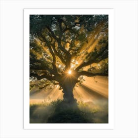 Tree Of Life 20 Art Print