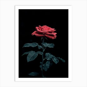 Dark Rose 68 Art Print