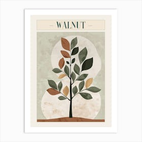 Walnut Tree Minimal Japandi Illustration 4 Poster Art Print