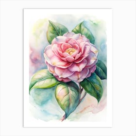 Pink Camellia Watercolor Painting Art Print