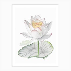 Water Lily Floral Quentin Blake Inspired Illustration 1 Flower Art Print
