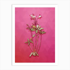 Vintage Lily Of The Incas Botanical Art on Beetroot Purple n.0003 Art Print