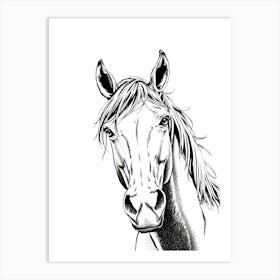 Horse Head 1 Art Print