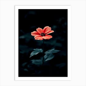 Single Flower 2 Art Print