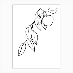 Apricot Art Print