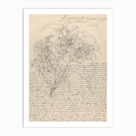 Buddleis Polystachya, Luigi Balugani Art Print