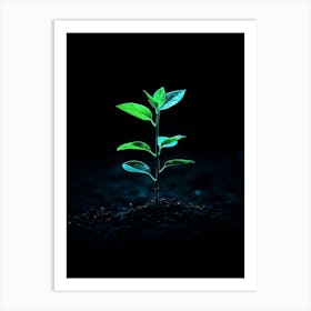 Small Green Plant Growing In The Dark Art Print