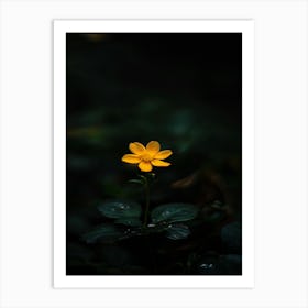 Yellow Flower In The Dark 6 Art Print