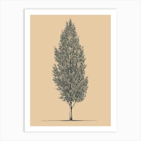 Poplar Tree Minimalistic Drawing 4 Art Print