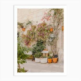 Potted Plants In A Courtyard, street in Puglia, Italy | travel photography Art Print