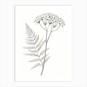 Yarrow Savory Vintage Botanical Herbs 0 Art Print