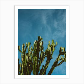 Cactus Sky Art Print