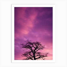 Silhouette Of A Tree At Sunset Art Print