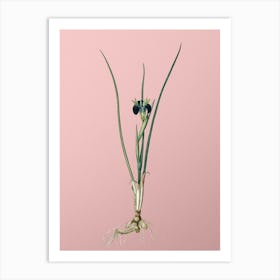 Vintage Snake's Head Botanical on Soft Pink n.0012 Art Print