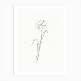 Daffodil Sketch Art Print