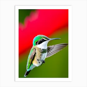 Female Ruby Throated Hummingbird -Reimagined Art Print