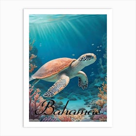 Bahamas Sea Turtle Art Print