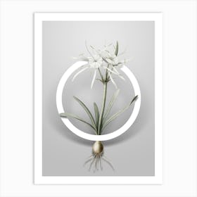 Vintage Streambank Spiderlily Minimalist Floral Geometric Circle on Soft Gray n.0132 Art Print