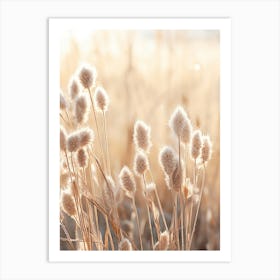 Boho Dried Flowers Prairie Clover Art Print