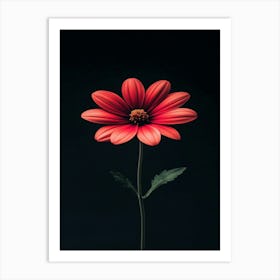 Red Daisy 1 Art Print