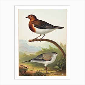 Dipper James Audubon Vintage Style Bird Art Print