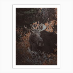 Small Moose Art Print