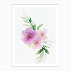 Cherry Blossom Watercolour Flower Art Print