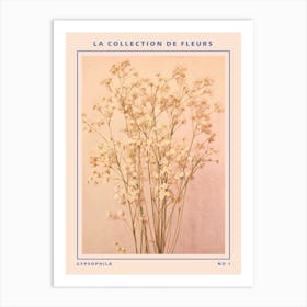 Gypsophila French Flower Botanical Poster Art Print