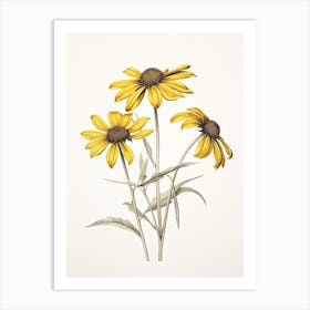 Black Eyed Susans Flower Vintage Botanical 1 Art Print