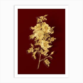 Vintage Thornless Burnet Rose Botanical in Gold on Red Art Print