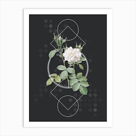 Vintage Autumn Damask Rose Botanical with Geometric Line Motif and Dot Pattern n.0174 Art Print