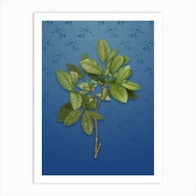 Vintage Eastern Leatherwood Botanical on Bahama Blue Pattern n.2222 Art Print