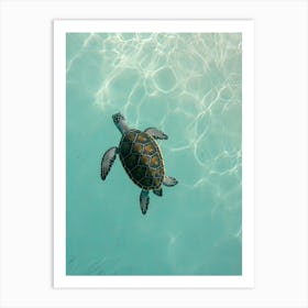 Sea Turtle Swimming 0 Art Print