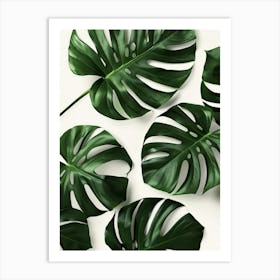 Monstera Leaves 9 Art Print