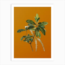 Vintage Swamp Titi Leaves Botanical on Sunset Orange n.0687 Art Print