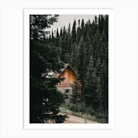 Cabin In Pine Forest Art Print