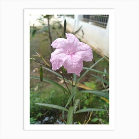 Pink Flower Poster