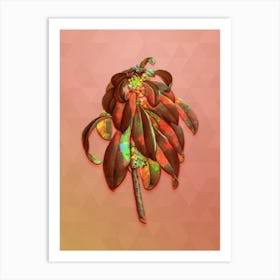 Vintage Spurge Laurel Weeds Botanical Art on Peach Pink n.0740 Art Print