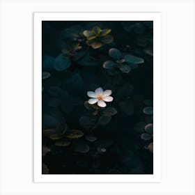 Flower In The Water 14 Art Print