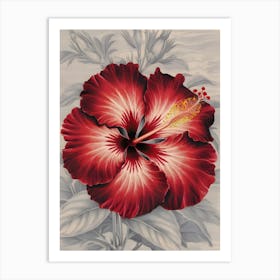 Hibiscus 22 Art Print