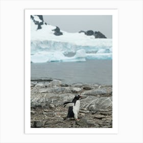 Penguin on the move in Antarctica Art Print
