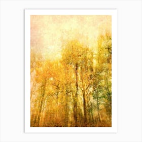 Autumn Radiance Art Print